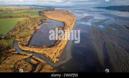 Luftaufnahme der Schilfbetten am Nordufer des Flusses Tay, Port Allen, Errol, Perthshire, Schottland. Stockfoto
