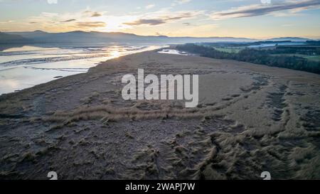 Aus der Vogelperspektive auf die Schilfbeete am Nordufer des Flusses Tay, Errol, Perthshire, Schottland. Stockfoto