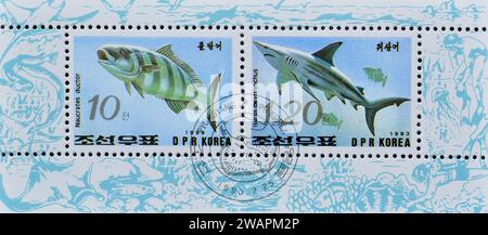 Souvenirbogen mit gestempelten Briefmarken, gedruckt von Nordkorea, die Naukrates Duktor und Isurus oxyrhynchus zeigen, um 1993. Stockfoto
