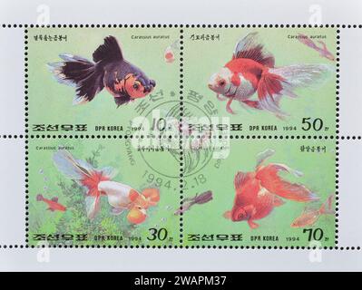 Souvenirbogen mit gestempelten Briefmarken, gedruckt von Nordkorea, die Goldfisch (Carassius auratus auratus) zeigen, um 1994. Stockfoto