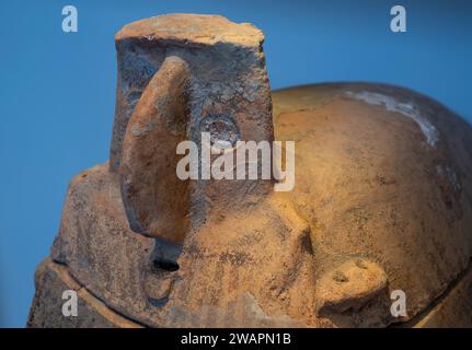 Das Ossarium wurde 4.500–3.500 v. Chr. in einer Chalkolithhöhle in Peki'in Obergaliläa Israel gefunden, ausgestellt im Archäologiescheigel des Israel Museums in West-Jerusalem Israel Stockfoto