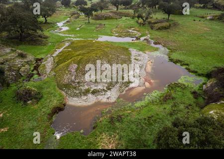 Eine Luftaufnahme eines Baches in der Dehesa de la Luz, Extremadura, Spanien Stockfoto