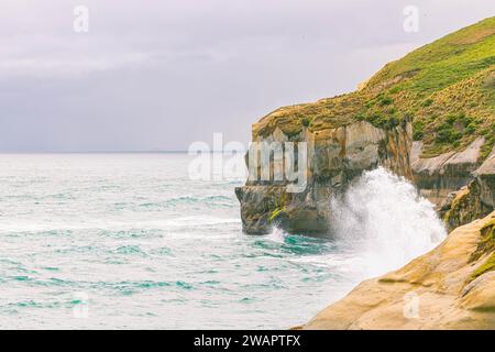 Ein malerischer Blick auf die Meereswellen vor Tunnel Beach in Neuseeland Stockfoto