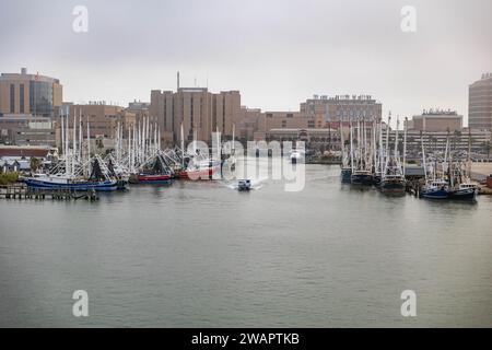 Mehrere kleine Boote legten in einem ruhigen Hafen an, umgeben von einer malerischen Kulisse in Cozumel, Mexiko Stockfoto