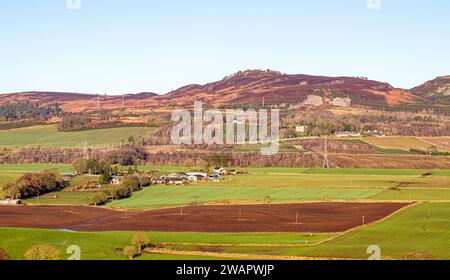 Dundee, Tayside, Schottland, Großbritannien. Januar 2024. Wetter in Großbritannien: Die wunderschöne Wintersonne mit Morgenfrost bietet einen fantastischen Blick auf die Sidlaw Hills und das Strathmore Valley im ländlichen Dundee, Schottland. Quelle: Dundee Photographics/Alamy Live News Stockfoto