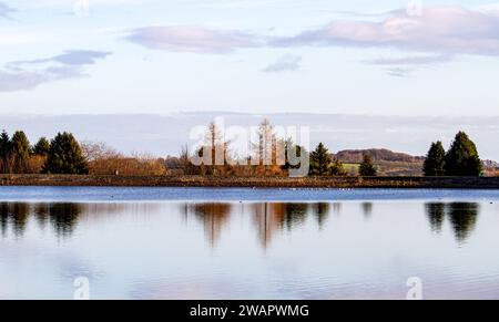 Dundee, Tayside, Schottland, Großbritannien. Januar 2024. Wetter in Großbritannien: Die wunderschöne Wintersonne mit Morgenfrost bietet einen fantastischen Blick auf die Sidlaw Hills und das Strathmore Valley im ländlichen Dundee, Schottland. Quelle: Dundee Photographics/Alamy Live News Stockfoto