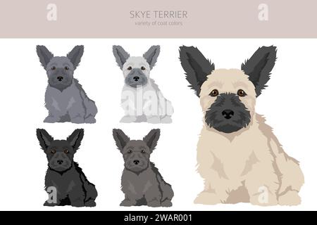 Skye Terrier Welpen kleiden Farben, verschiedene Positionen Clipart. Vektorabbildung Stock Vektor