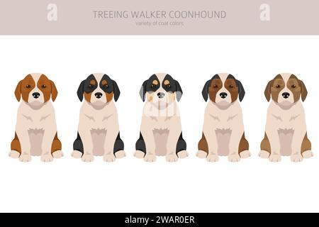 Wandern Walker Wahnhund Welpen Clipart. Verschiedene Posen, Fellfarben gesetzt. Vektorabbildung Stock Vektor