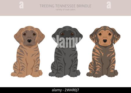 Die Tennessee Brindle Welpen Clipart. Verschiedene Posen, Fellfarben gesetzt. Vektorabbildung Stock Vektor