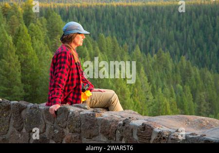 Aussichtspunkt Lower Mesa Falls, Mesa Falls Scenic Byway, Targhee National Forest, Idaho Stockfoto