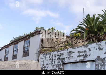 Detailaufnahme der mit Pflanzen bedeckten Dächer in Icod de los Vinos, Teneriffa, Spanien Stockfoto