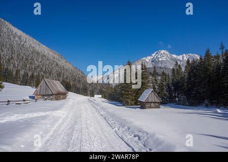 Chocholowska-Tal im Winter. Tatragebirge. Stockfoto