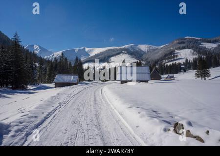 Chocholowska-Tal im Winter. Tatragebirge. Stockfoto