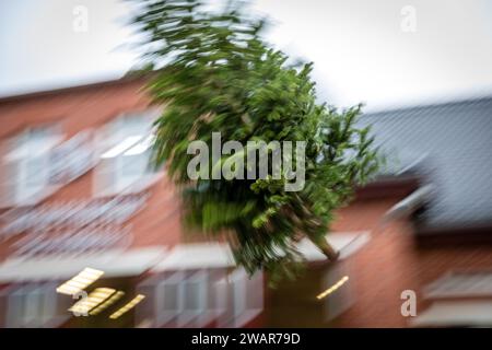 Cottbus, Deutschland. Januar 2024. Während des traditionellen Weihnachtsbaumwurfwettbewerbs der Feuerwehr Ströbitz fliegt ein Baum durch die Luft (Foto mit langer Belichtungszeit). Mehr als 80 Besucher nahmen am Wettbewerb im Cottbuser Stadtteil Ströbitz Teil, bei dem der Gewinner diejenige ist, die am weitesten einen Weihnachtsbaum werfen kann. Vorher konnten sie zusammen mit anderen Besuchern eine Mahlzeit genießen. Der Erlös aus der Veranstaltung wird an eine soziale Einrichtung in der Stadt Cottbus gespendet. Kredit: Frank Hammerschmidt/dpa/ZB/dpa/Alamy Live News Stockfoto