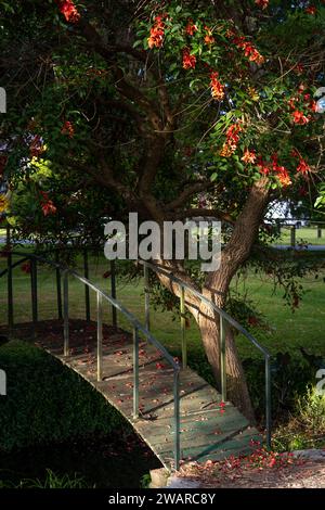 Eine weiße Holzbrücke schlängelt sich durch einen malerischen Garten mit bunten Blumen Stockfoto