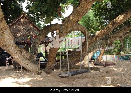 Dieses Bild zeigt ein in den Stamm eines Baumes eingebautes Baumhaus in einer kargen Wüstenlandschaft Stockfoto
