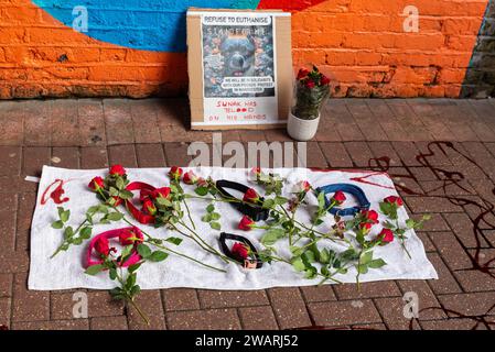 Protest in der High Street von Southend gegen das Verbot der Regierung für XL-Bullhunde mit einer „Gedenkstätte“ aus Hundehalsband, roten Rosen und gefälschtem Blut Stockfoto