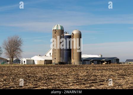 Farm und Silos an einem sonnigen Wintertag im Livingston County, Illinois, USA. Stockfoto