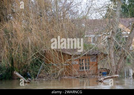 Old Windsor, Großbritannien. Januar 2024. Ein überfluteter Garten in einem Haus auf Ham Island in Old Windsor, Berkshire. Der Wasserstand steigt in der Themse in Old Windsor, Berkshire. Die Themse hat ihre Ufer geplatzt und für die am nächsten an der Themse gelegenen Immobilien ist eine Hochwasserwarnung vorhanden. Quelle: Maureen McLean/Alamy Live News Stockfoto