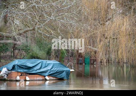 Old Windsor, Großbritannien. Januar 2024. Ein überfluteter Garten in einem Haus auf Ham Island in Old Windsor, Berkshire. Der Wasserstand steigt in der Themse in Old Windsor, Berkshire. Die Themse hat ihre Ufer geplatzt und für die am nächsten an der Themse gelegenen Immobilien ist eine Hochwasserwarnung vorhanden. Quelle: Maureen McLean/Alamy Live News Stockfoto