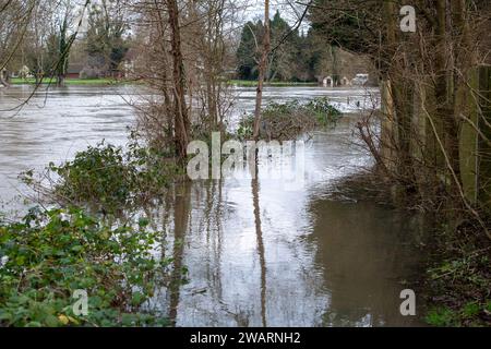 Old Windsor, Großbritannien. Januar 2024. Der Fluted Thames Path in Old Windsor. Der Wasserstand steigt in der Themse in Old Windsor, Berkshire. Die Themse hat ihre Ufer geplatzt und für die am nächsten an der Themse gelegenen Immobilien ist eine Hochwasserwarnung vorhanden. Quelle: Maureen McLean/Alamy Live News Stockfoto