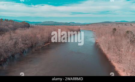 Eine ruhige Szene mit einem kleinen Bach, der durch einen Wald mit üppigen grünen Bäumen fließt Stockfoto