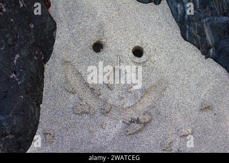 Sanftes Lächeln im Sand von Kennack Sands, Lizard Peninsula, Cornwall Stockfoto