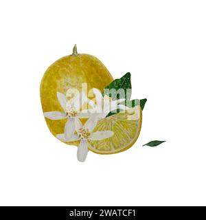 Aquarell isolierte Illustration von Zitrone, Zitronenscheibe, Blätter und Blumen Komposition auf weißem Hintergrund Stockfoto