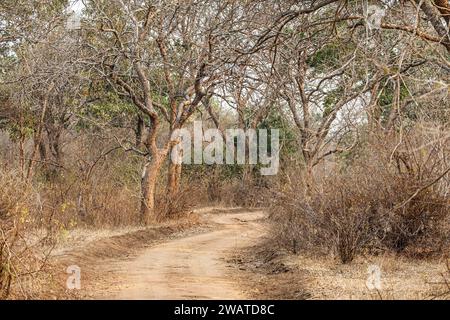 Majete Wildlife Reserve, Abenddämmerung, von Truck, Malawi Stockfoto