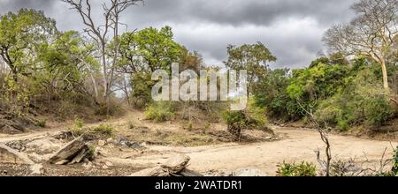 Biegen Sie im trockenen Flussbett mit Überquerung, Majete Wildlife Reserve, Malawi Stockfoto