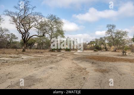 Views, Majete Wildlife Reserve, Malawi Stockfoto