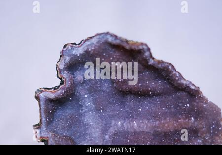 Stück natürliches Amethyst auf weißem Hintergrund. Stockfoto