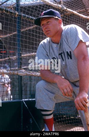 VERO BEACH, FL - MÄRZ 1956: Jackie Jensen #4 der Boston Red Sox posiert für ein Porträt neben dem Schlagkäfig vor einem MLB Spring Training Spiel gegen die Brooklyn Dodgers um März 1956 in Vero Beach, Florida. (Foto von Hy Peskin) *** örtlicher Bildtitel *** Jackie Jensen Stockfoto