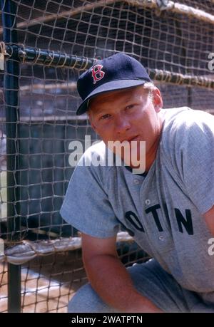 VERO BEACH, FL - MÄRZ 1956: Jackie Jensen #4 der Boston Red Sox posiert für ein Porträt neben dem Schlagkäfig vor einem MLB Spring Training Spiel gegen die Brooklyn Dodgers um März 1956 in Vero Beach, Florida. (Foto von Hy Peskin) *** örtlicher Bildtitel *** Jackie Jensen Stockfoto