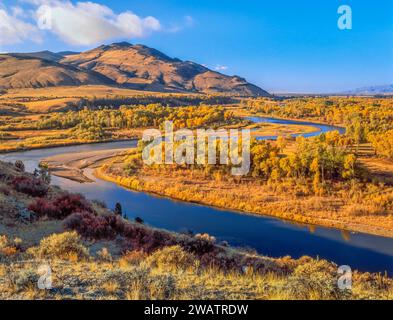 Herbst Farben entlang der Jefferson River in der Nähe von Whitehall, Montana Stockfoto