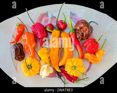 Sammlung verschiedener Arten von kleinen Paprika Stockfoto