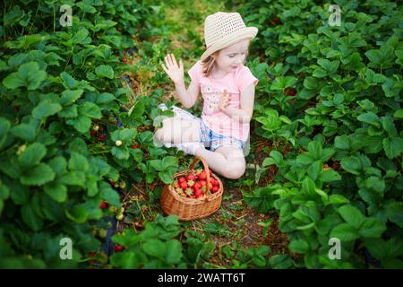 Süßes Vorschulmädchen pflückt frische Bio-Erdbeeren auf dem Bauernhof. Köstlicher, gesunder Snack für kleine Kinder. Sommeraktivitäten im Freien für wenig Stockfoto