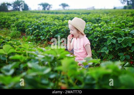 Süßes Vorschulmädchen pflückt frische Bio-Erdbeeren auf dem Bauernhof. Köstlicher, gesunder Snack für kleine Kinder. Sommeraktivitäten im Freien für wenig Stockfoto