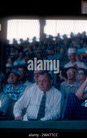 ST. PETERSBURG, FL - MÄRZ 1956: General Manager George Weiss von den New York Yankees sieht ein MLB Spring Training Spiel um März 1956 in St. Petersburg, Florida. (Foto von Hy Peskin) *** örtlicher Bildtitel *** George Weiss Stockfoto