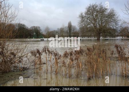 Grantchester, Großbritannien. Januar 2024. Parkbänke sitzen gestrandet, umgeben von Hochwasser, während der Fluss Great Ouse bei Granchester seine Ufer platzt. Hochwasserwarnmeldungen bleiben bestehen, da die Gewässer im Osten Englands nach Sturm Henk weiter steigen. Die wichtigsten Flüsse der Fluss Great Ouse und der Fluss Nene sind über ihre Ufer geplatzt und in die umliegende Landschaft gespült, und mit voll ausgelasteten Abflüssen werden sie wieder in Wohngebieten eingesetzt. Quelle: SOPA Images Limited/Alamy Live News Stockfoto