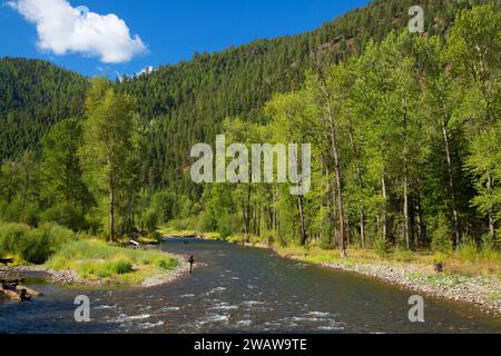 Rock Creek, Lolo National Forest, Montana Stockfoto