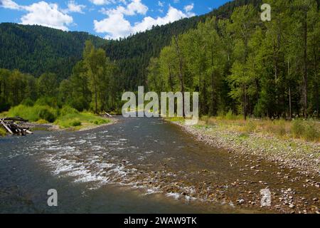 Rock Creek, Lolo National Forest, Montana Stockfoto