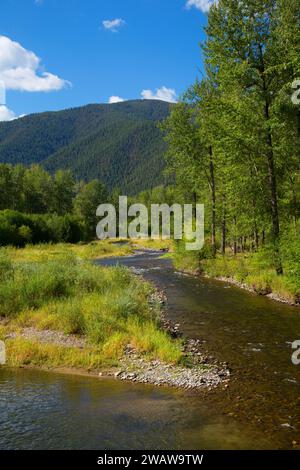 Rock Creek, Lolo National Forest, Montana Stockfoto