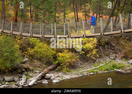 Rock Creek Bridge bei willkommen Creek Trailhead, Lolo National Forest in Montana Stockfoto