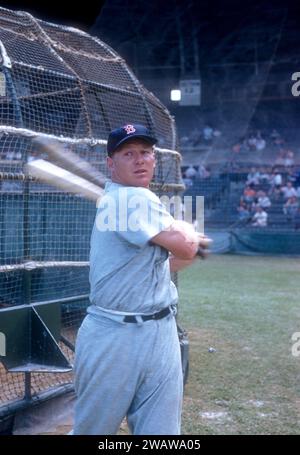 VERO BEACH, FL - MÄRZ 1956: Jackie Jensen #4 der Boston Red Sox schwingt seinen Schläger neben dem Schlagkäfig, bevor er im Frühjahr 1956 gegen die Brooklyn Dodgers in Vero Beach, Florida, spielt. (Foto von Hy Peskin) *** örtlicher Bildtitel *** Jackie Jensen Stockfoto