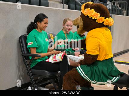 Waco, Texas, USA. Januar 2024. Das Maskottchen Baylor Lady Bears spricht vor dem NCAA Basketballspiel zwischen den Houston Cougars und Baylor Lady Bears im Foster Pavilion in Waco, Texas. Matthew Lynch/CSM/Alamy Live News Stockfoto