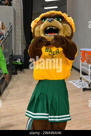 Waco, Texas, USA. Januar 2024. Baylor Lady Bears kommt vor dem NCAA-Basketballspiel zwischen den Houston Cougars und den Baylor Lady Bears im Foster Pavilion in Waco, Texas. Matthew Lynch/CSM/Alamy Live News Stockfoto