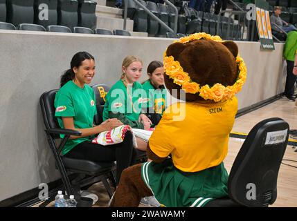 Waco, Texas, USA. Januar 2024. Das Maskottchen Baylor Lady Bears spricht vor dem NCAA Basketballspiel zwischen den Houston Cougars und Baylor Lady Bears im Foster Pavilion in Waco, Texas. Matthew Lynch/CSM/Alamy Live News Stockfoto