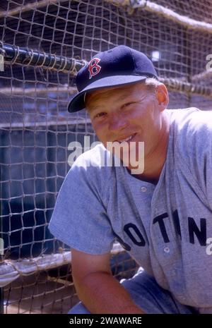 VERO BEACH, FL - MÄRZ 1956: Jackie Jensen #4 der Boston Red Sox posiert für ein Porträt neben dem Schlagkäfig vor einem MLB Spring Training Spiel gegen die Brooklyn Dodgers um März 1956 in Vero Beach, Florida. (Foto von Hy Peskin) *** örtlicher Bildtitel *** Jackie Jensen Stockfoto