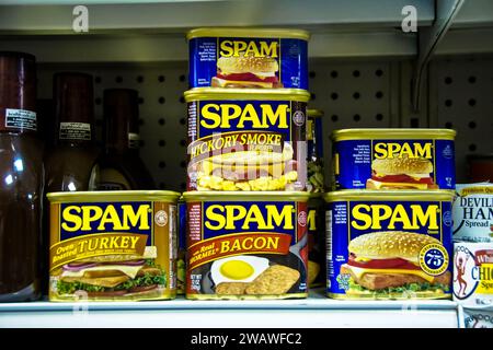 Entdecken Sie herzhafte Köstlichkeiten mit Spam! Entdecken Sie einzigartige Rezepte wie Spam Musubi und Spam mit Spam-Aroma. Sichern Sie Wertsachen in einer Spam-Dose. Aufregendes Spa Stockfoto